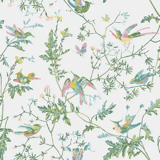 Hummingbirds Printed