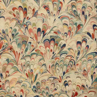 Ellis Print 2025129-3524