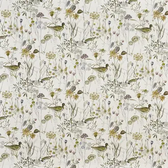 Wetlands 8641-281
