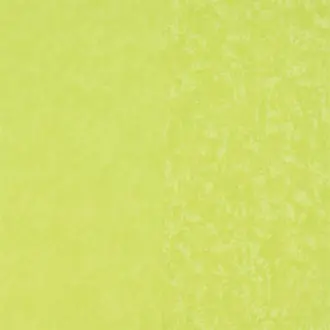 Kalpana Duck Egg P576-13
