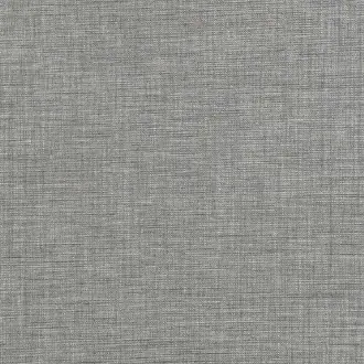 Cosmic Silver Grey Z634-05
