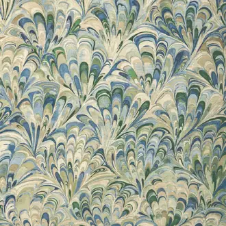 Ellis Print 2025129-530