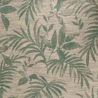 Salix 70950320