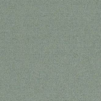 Elyssa 12901236