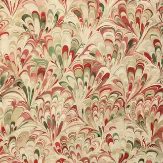 Ellis Print 2025129-73