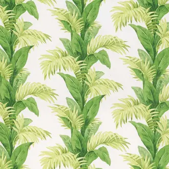 Palmetto NCF4246-01