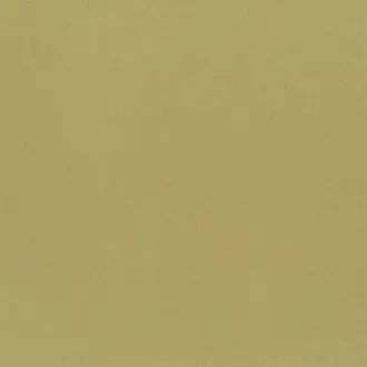Aquarelle FDG2196-07