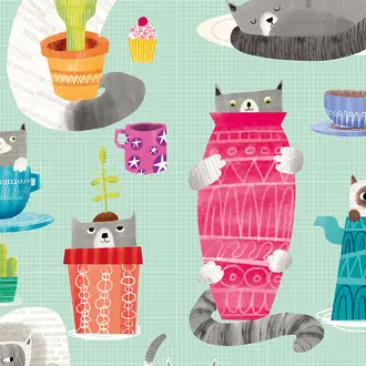 Kitten Kaboodle WGU50108W