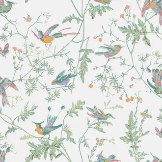 Hummingbirds Printed