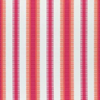 Samba Stripe W74666