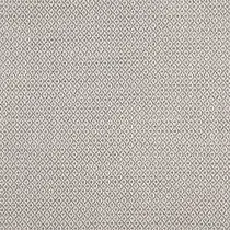 Altai 18 Pumice