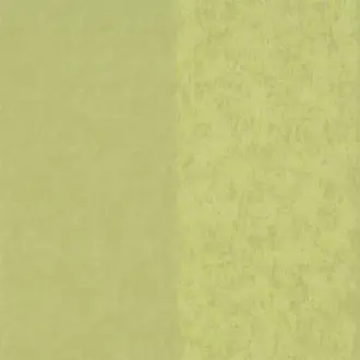 Kalpana Moss P576-15