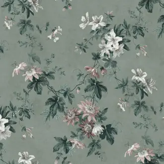 Faded Passion 623-26