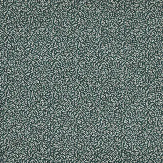 Aster Teal