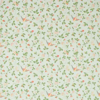 Wild Strawberry F1606-02
