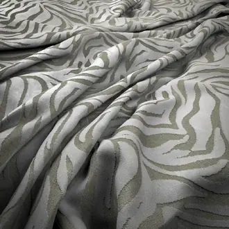 Cebra Ivory