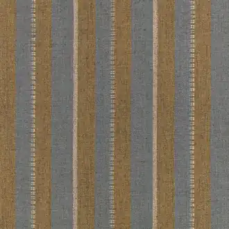 Peruvian Stripe Desert Palm