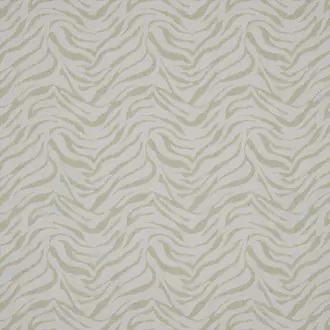 Cebra Ivory
