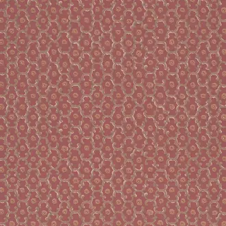 Moy Red Ochre