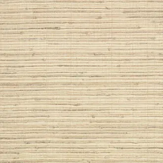 Evoke Whitewash