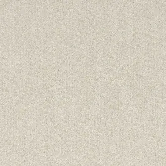 Elyssa 12900475
