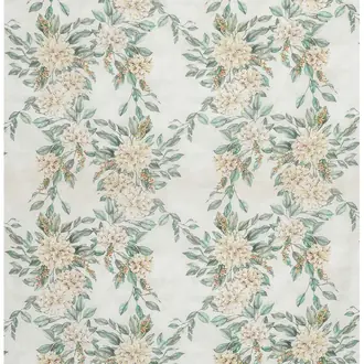 Rhodora F7016-03