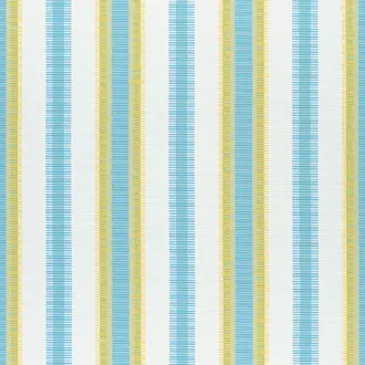 Samba Stripe W74671