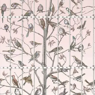 Uccelli 114-11022