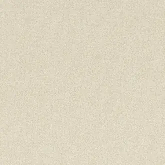 Elyssa 12900380