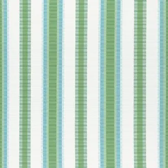 Samba Stripe W74672