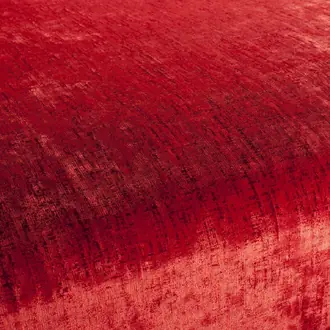 Valentina Velvet CA1404-010