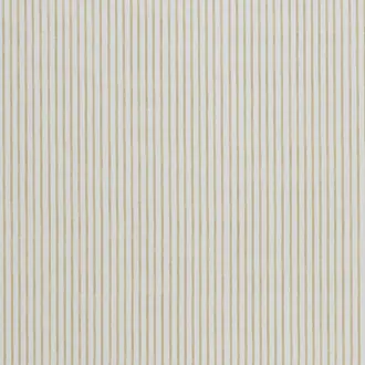 Candy Stripe Dijon
