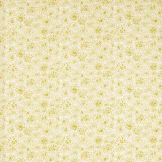 Cara F1779-05