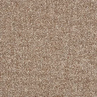 Moss 0013