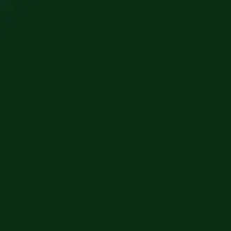Dark Brunswick Green No 88