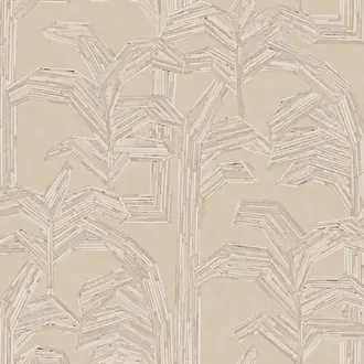 Kailua 81501