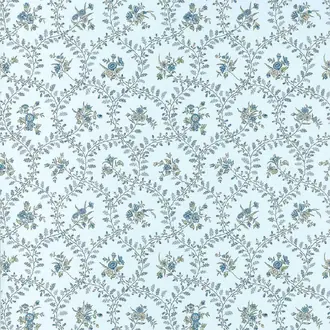 Juliette Trail AT10761