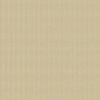 Bernarda GDT-5807-005