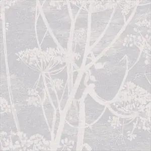 Cow Parsley 95-9049
