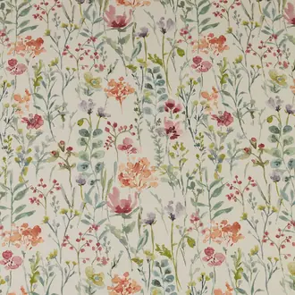 Wild Flowers Clementine