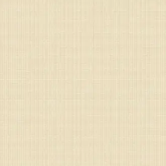 Deco 2 DC61005