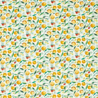 Orange Blossom F1784-02