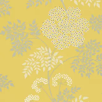 Cowparsley DOPWCO105