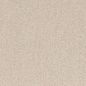 Elyssa 12900598