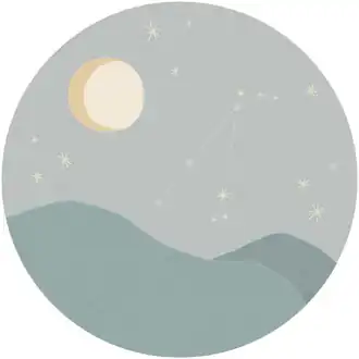 Explore 323121