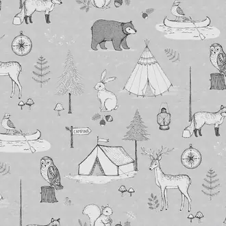 Camping Trip R15312