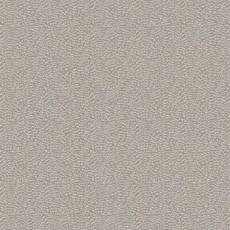 Ontario Dove
