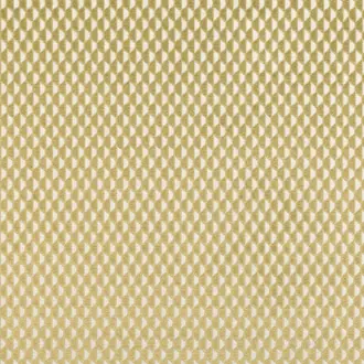 Pepino Cumin 7763-01