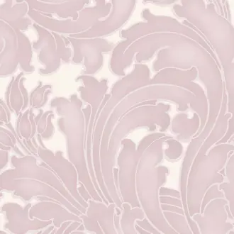 Tulip Sugar