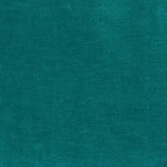 Salsa F6781-10